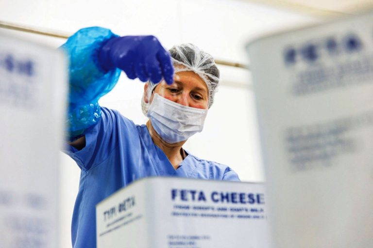 Θεσσαλονίκη: Απειλή για τις εξαγωγές φέτας η ευλογιά των αιγοπροβάτων
