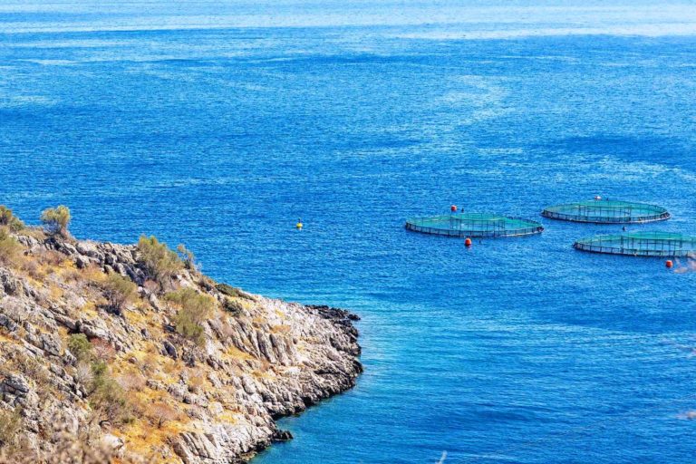 Και το Υπουργείο Τουρισμού κατά της επέκτασης ιχθυοκαλλιεργειών