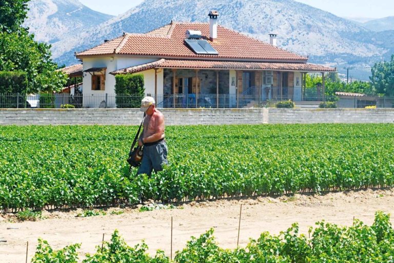 Προς λύση τα χρέη αγροτών και συνεταιρισμών