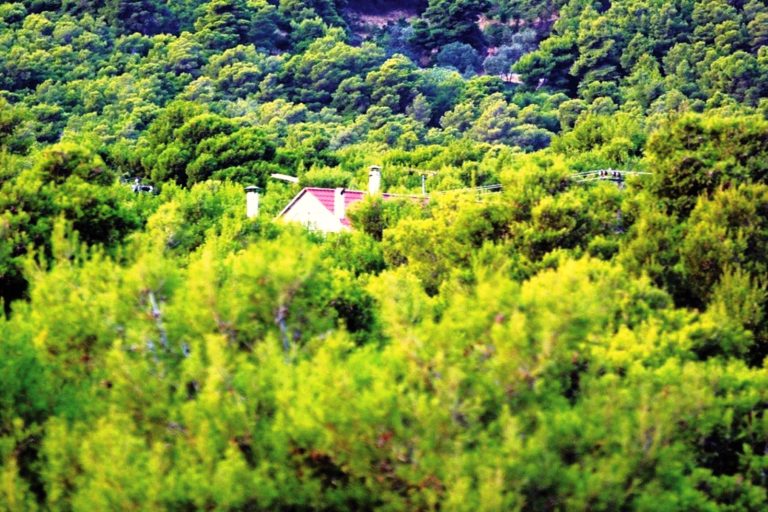 Στο τελικό στάδιο οι εξαγορές καταπατημένων εκτάσεων