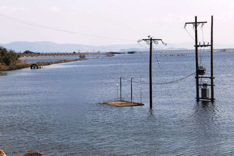 Άμεσα πρέπει να υποβάλουν αίτηση για φερτά υλικά και ζωοτροφές οι παραγωγοί - Οι οδηγίες