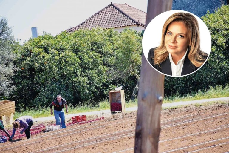 Χριστίνα Σταρακά: «Να δώσουμε πίσω την αξιοπρέπεια των αγροτών με ουσιαστικές λύσεις»