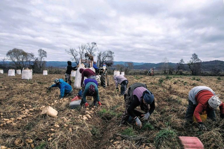 Τα τελευταία 4 χρόνια έχουν «χαθεί» 162 άνθρωποι εν ώρα αγροτικής εργασίας