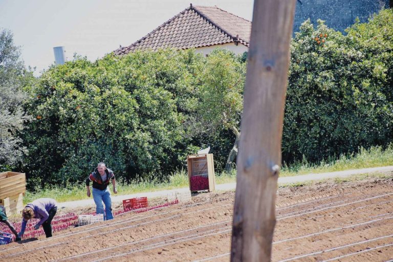 Διευκρινίσεις από ΟΠΕΚΕΠΕ για τα "πρόστιμα": Δεν είναι οριστικές αποφάσεις και "αφορούν προηγούμενες διοικήσεις"