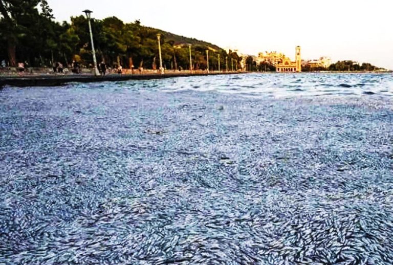 Η αλιεία εξοστρακίζεται από τον Παγασητικό Κόλπο