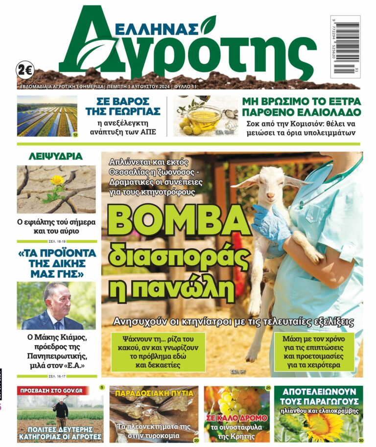 Πέμπτη 01.08.24