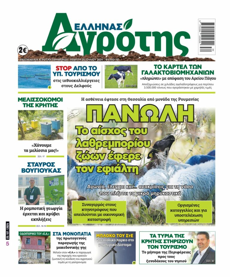 Πέμπτη 25.07.24