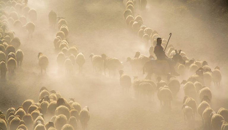 Eυλογιά: Χωρίς τήρηση των μέτρων δεν σταματά η ασθένεια