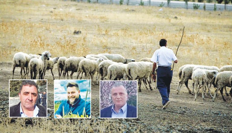 Κραυγή αγωνίας για τις ασθένειες από τους Ελληνες κτηνοτρόφους