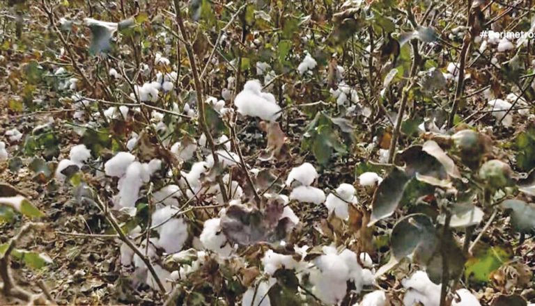 Η Ελλάδα κινδυνεύει να χάσει 87 εκατομμύρια ευρώ για ενισχύσεις στους αγρότες
