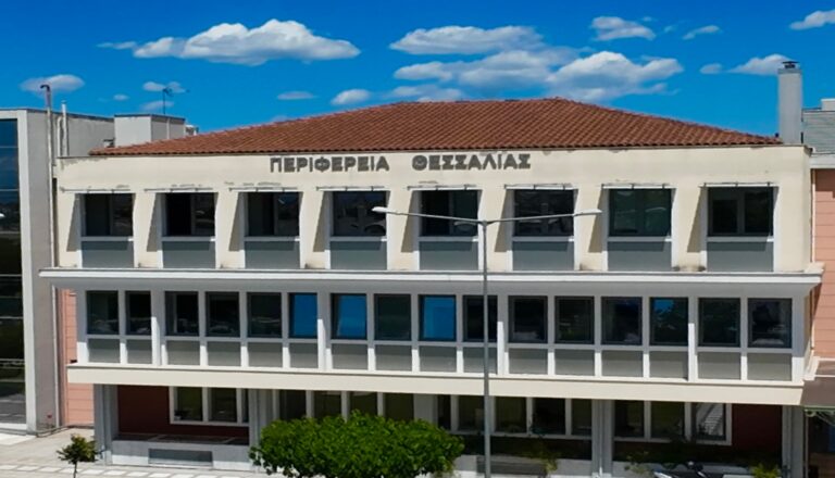 Θεσσαλία: Κατασχέσεις αρνιών από την περιφέρεια για παράνομη διακίνηση