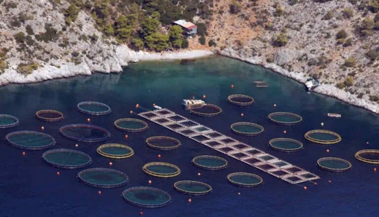 Στα 26εκ.€ το νέο πρόγραμμα για μεταποίηση προϊόντων αλιείας και υδατοκαλλιέργειας