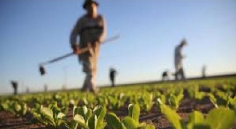 ΕΛΓΑ: Πλήρωσε 3,5 εκατ. ευρώ σε 1.637 δικαιούχους – Την Παρασκευή πιστώσεις για Daniel-Elias