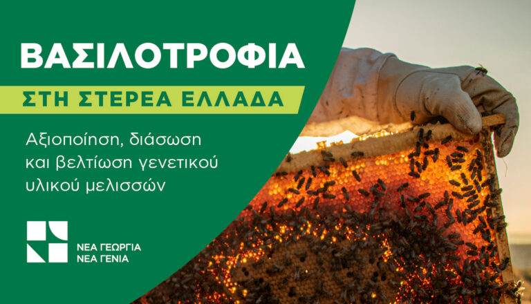 Νέα Γεωργία, Νέα Γενιά: Ανακοινώνει την έναρξη του προγράμματος «Βασιλοτροφία στη Στερεά Ελλάδα
