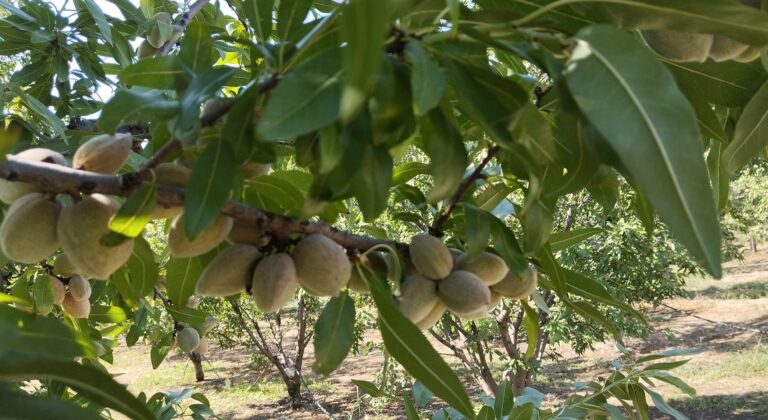 ΕΛΓΑ: Πρόγραμμα ενισχύσεων για πληγέντες γεωργούς και καλλιεργητές λόγω θεομηνιών (pic)