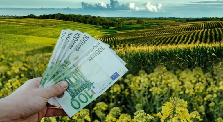 Θεσσαλία: Το ποσό των 702.146 ευρώ έλαβαν ως κρατική αρωγή 389 επιχειρήσεις, αγροτικές εκμεταλλεύσεις και κτηνοτροφικές μονάδες