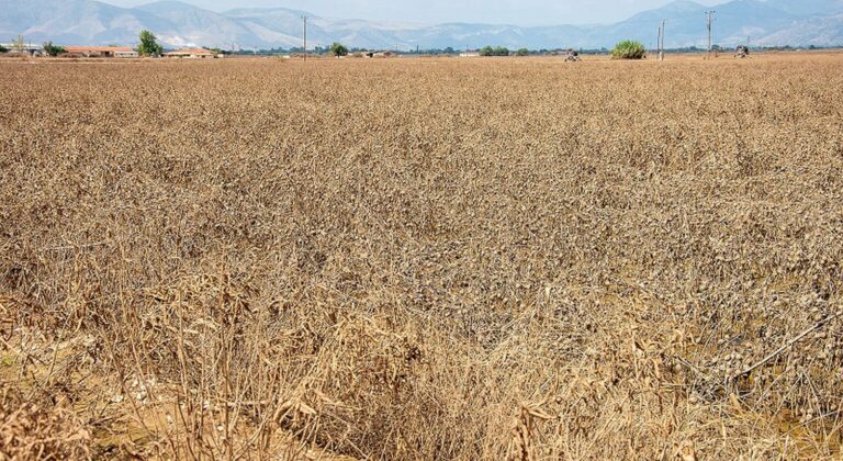 Σαρώνει η φτώχεια στην ελληνική ύπαιθρο – Στο έλεος της ενεργειακής κρίσης και της κλιματικής αλλαγής