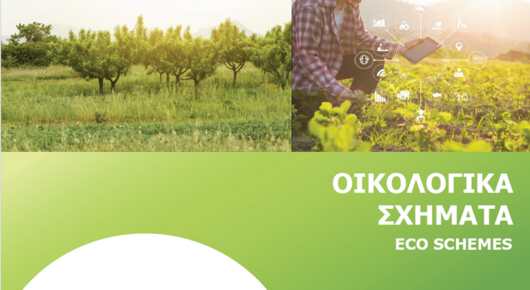 Στο επίκεντρο η Κρήτη με την κατανομή των Οικολογικών Σχημάτων - Ερωτήματα για το πώς θα κινηθεί το νέο Δ.Σ. του ΟΠΕΚΕΠΕ
