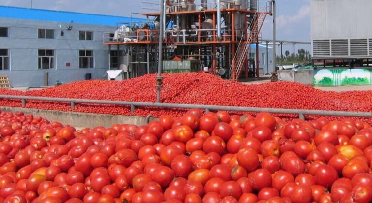 Ηλεία: Αγρότες, φορείς και βουλευτές, ζητούν παράταση ασφαλιστικών εισφορών για τη στήριξη της Βιομηχανικής Τομάτας