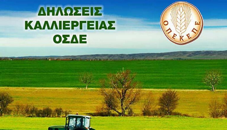 Ο ΟΠΕΚΕΠΕ στη δίνη των σκανδάλων: Δήλωναν ανύπαρκτες βαμβακοκαλλιέργειες και έπαιρναν επιδοτήσεις - «Μένει Ελλάδα» η Ευρωπαϊκή Εισαγγελία