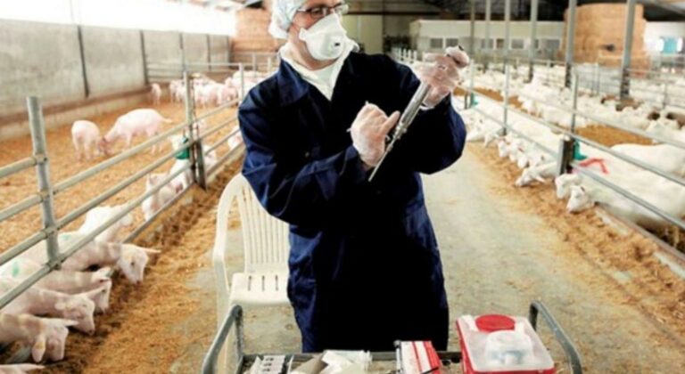 «Zootechnia 2025»: Η αντιμικροβιακή αντοχή απειλεί την παγκόσμια υγεία, την οικονομική σταθερότητα, τη ζωική παραγωγή και την επισιτιστική ασφάλεια