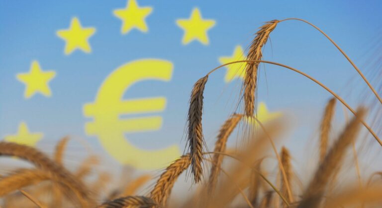 Η Ευρωπαϊκή Οικονομική και Κοινωνική Επιτροπή εκτιμά ότι υπάρχουν ανισότητες στον πρωτογενή τομέα