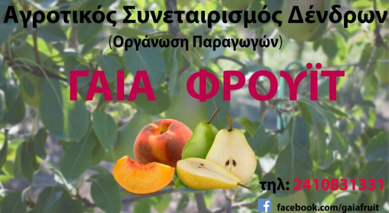 Gaia Frut: Ο Α.Σ. Δένδρων Τυρνάβου έχει τη δική του ομάδα