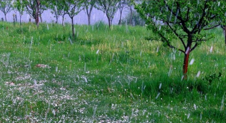 «Στον διαγωνισμό για την αντιχαλαζική προστασία από αέρος θα συμπεριληφθούν 200.000 στρέμματα στην Πιερία»