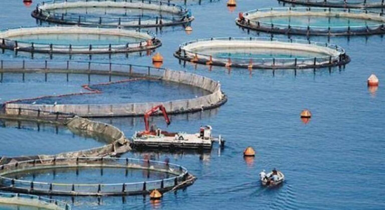 Ένας άνδρας 50 ετών έχασε τη ζωή του σε ιχθυοκαλλιέργεια της Λάρυμνας