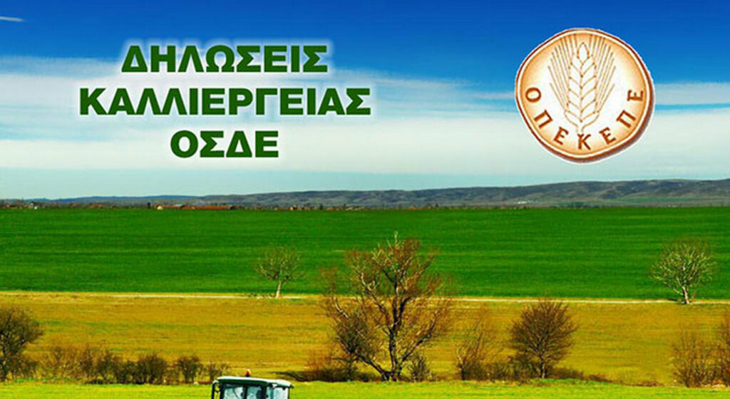 Περίπου 150.000 εκτός ΟΣΔΕ λόγω ΑΤΑΚ λέει η ΠΟΣΕΓ και ζητά παράταση έως 20/9