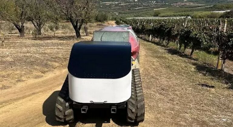 Agroverse: Ένα «Uber» για την Ελαιοκομία αλλάζει την καλλιέργεια της ελιάς