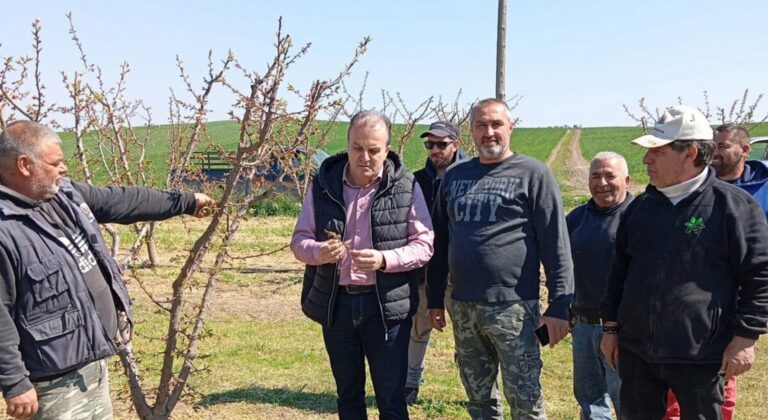 Αυτοψία του Δήμου Λαρισαίων στις παγετόπληκτες περιοχές
