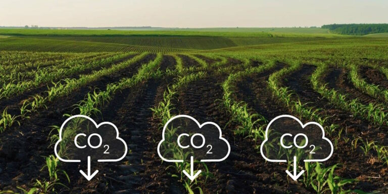 Εθνικό Living Lab για θέματα γεωργίας άνθρακα (Carbon Farming) στο Γεωπονικό Πανεπιστήμιο Αθηνών