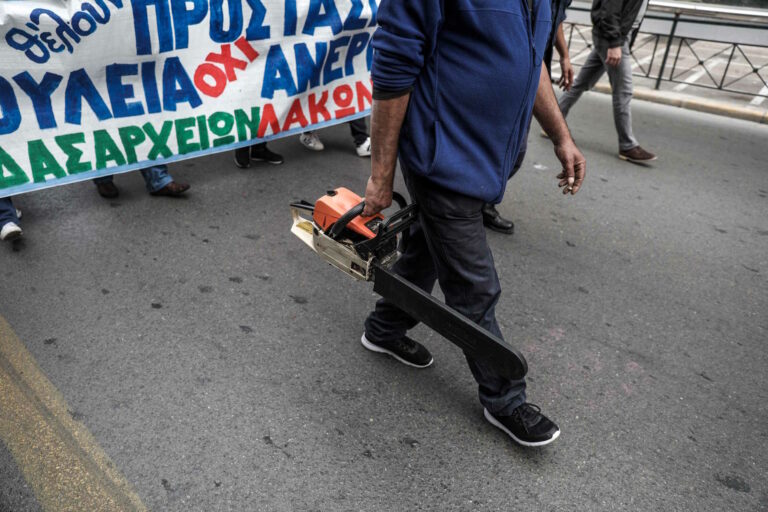 Δασεργάτες: Δίνουν τα δάση σε ιδιώτες