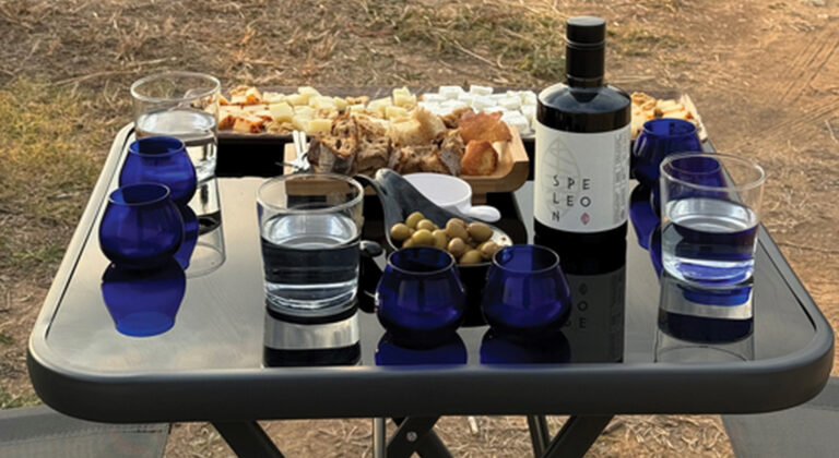 Δυο φίλοι στην Αλιστράτη Σερρών πραγματοποίησαν το όνειρό τους παράγοντας παρθένο ελαιόλαδο