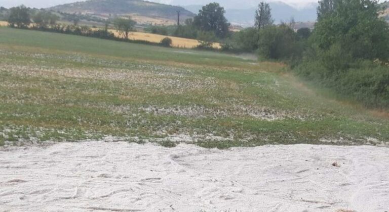 Μέχρι τις 21 Αυγούστου η αναγγελία ζημιάς από χαλάζι στη Λακωνία - Ποιους αφορά και ποια δικαιολογητικά χρειάζονται
