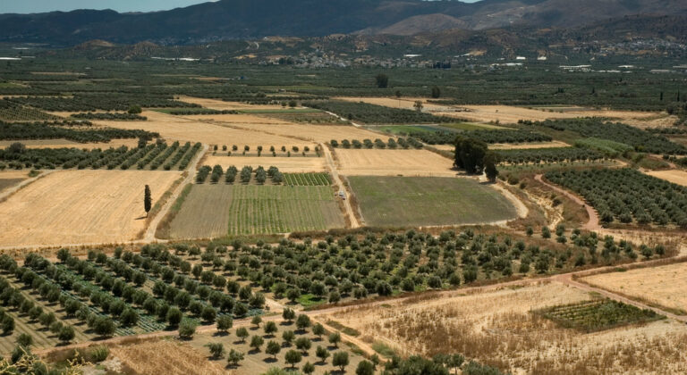 «Άνοιξαν οι ουρανοί» στον κάμπο της Μεσαρας - Πάνω από 22 χιλιοστά νερού στο Τυμπάκι