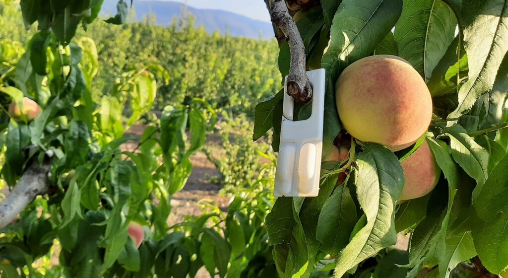 Πιο εντατικοί έλεγχοι στο Κομφούζιο - Με έτος εφαρμογής το 2024 η νέα τροποποιητική (Έγγραφο)