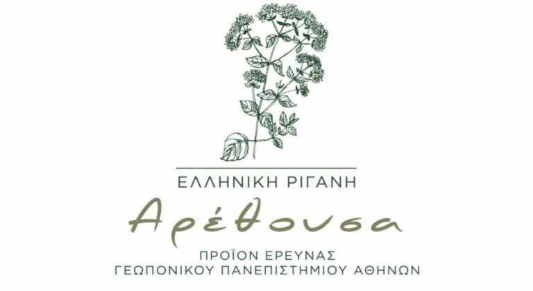 Παρουσιάστηκε η ελληνική ρίγανη «Αρέθουσα» - Με τη συμμετοχή της ΕΘΕΑΣ η εκδήλωση