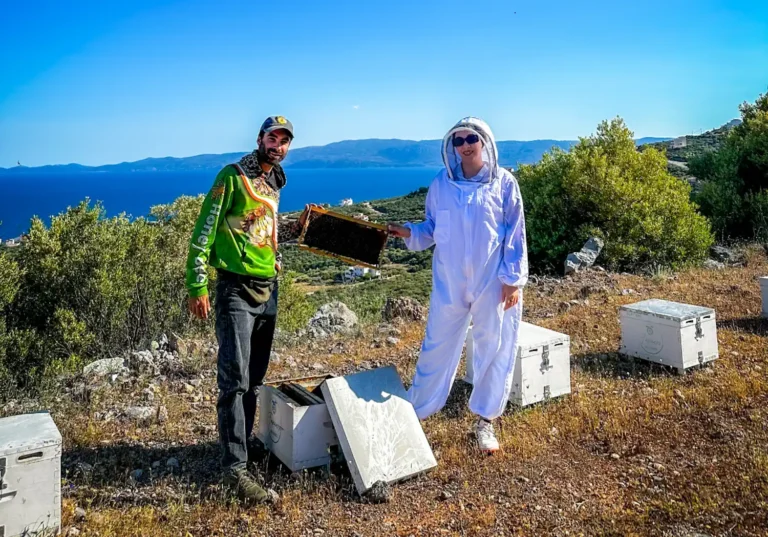 Παγκόσμια Ημέρα Μέλισσας: Ζευγάρι εγκατέλειψε την Αθήνα και αφιέρωσε τη ζωή του στις μέλισσες