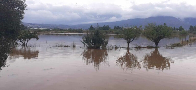 Το ΥΠΑΑΤ θα ερευνήσει πλαστά στοιχεία για αποζημιώσεις από φυσικές καταστροφές του 2023