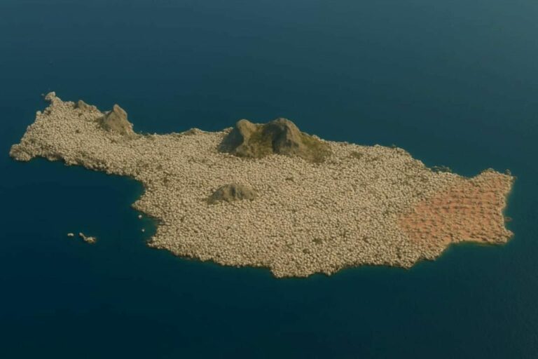 Βοσκοτόπια - φάντασμα: Πώς θα ήταν η Κρήτη αν είχε... 7.812.923 αιγοπρόβατα - Η φωτογραφία - viral