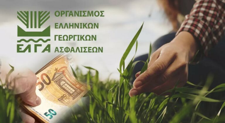 Έρχεται πληρωμή 20εκατ.€ από ΕΛΓΑ - Αγνοείται το θεσμικό πλαίσιο για ανασύσταση φυτικού κεφαλαίου