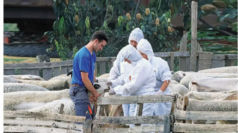 Πιερία: Κτηνοτρόφος βρέθηκε απαγχονισμένος - Του είχαν θανατώσει τα πρόβατα λόγω ευλογιάς