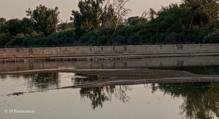 Ο Πηνειός στερεύει και η λειψυδρία χτυπά βαμβάκι, καλαμπόκι και τριφύλλι (Βίντεο)