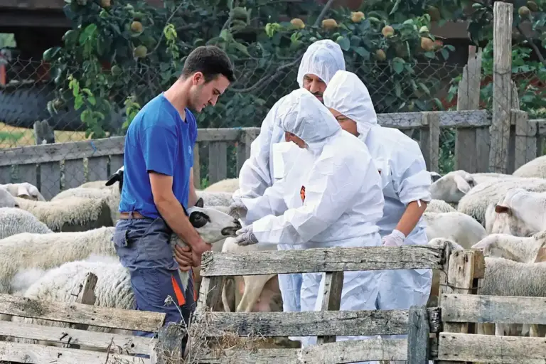 Ευλογιά: Σοκάρει η «ακτινογραφία» - Όλα τα μέτρα που προτείνει η κυβέρνηση
