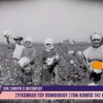 Oκτώβριος 1954: Συγκομιδή βάμβακος στην Κωπαΐδα