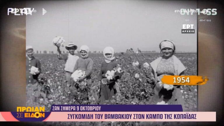Oκτώβριος 1954: Συγκομιδή βάμβακος στην Κωπαΐδα