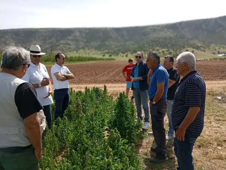 Η κινόα στο Zάρκο Tρικάλων έφερε χαμόγελα