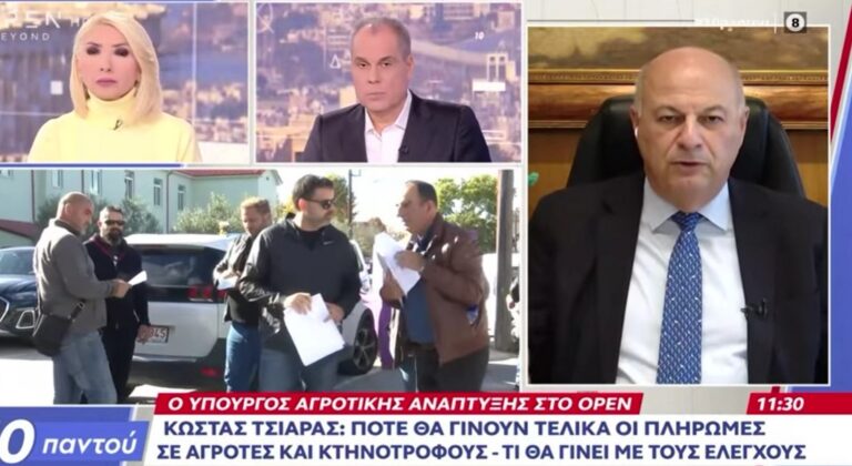 Απόρριψη ή επανέλεγχος για «δεκάδες χιλιάδες», λέει ο Τσιάρας - Προσπάθεια για πληρωμή στις 28/11 (Βίντεο)